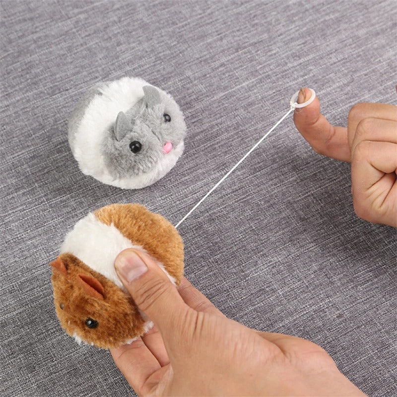 Fun Interactive Pet Mouse Toy