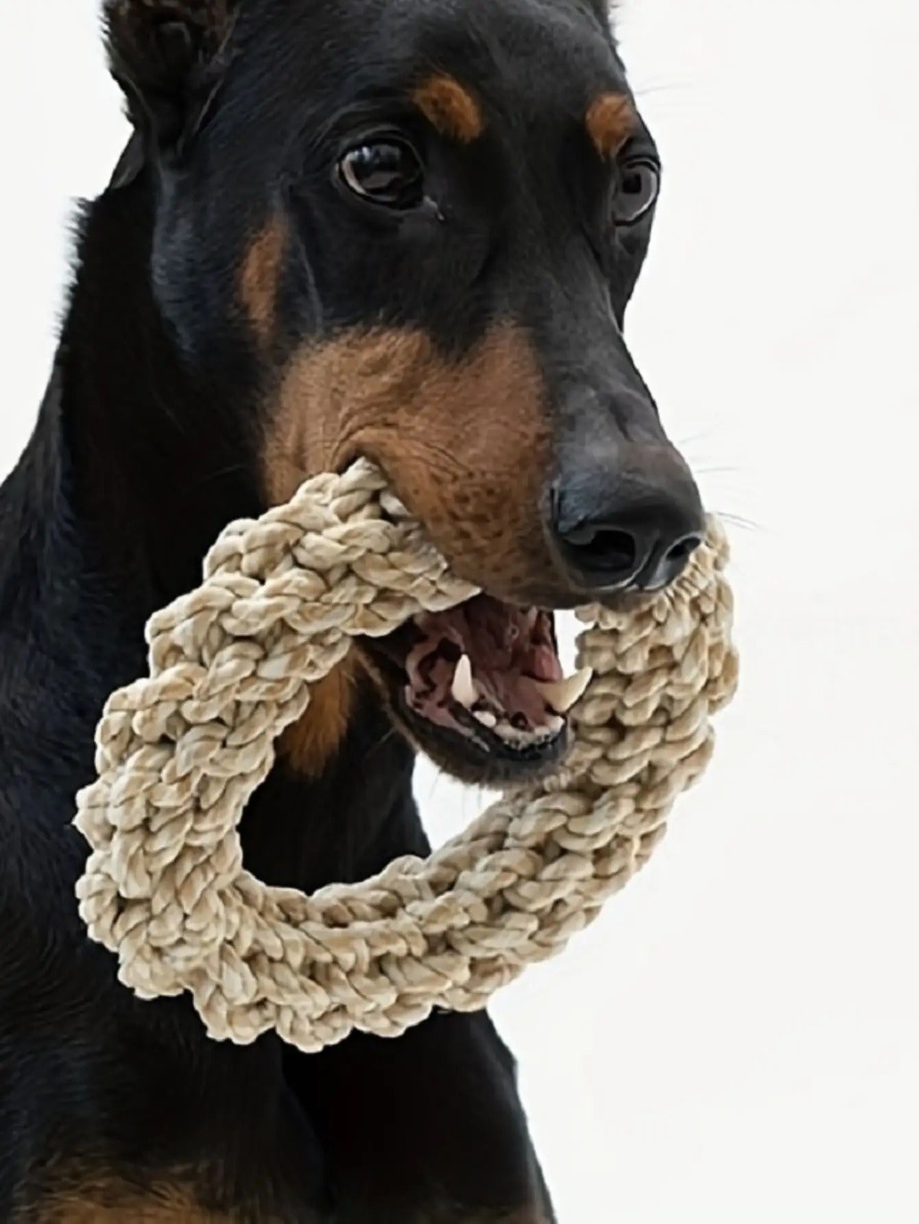 Tough Dog Rope Chew Toy - Befez