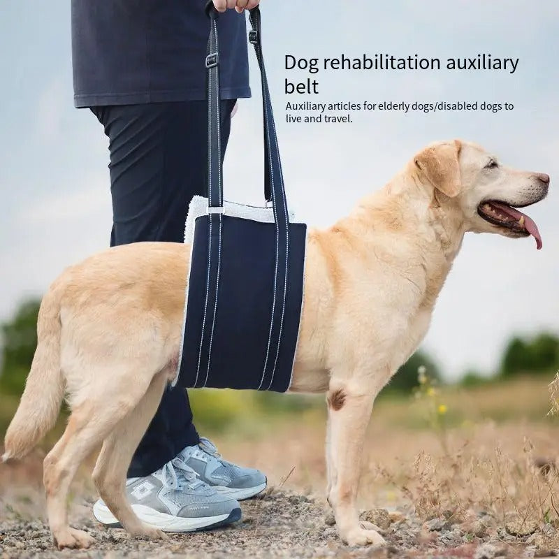 Comfortable Pet Support Vest