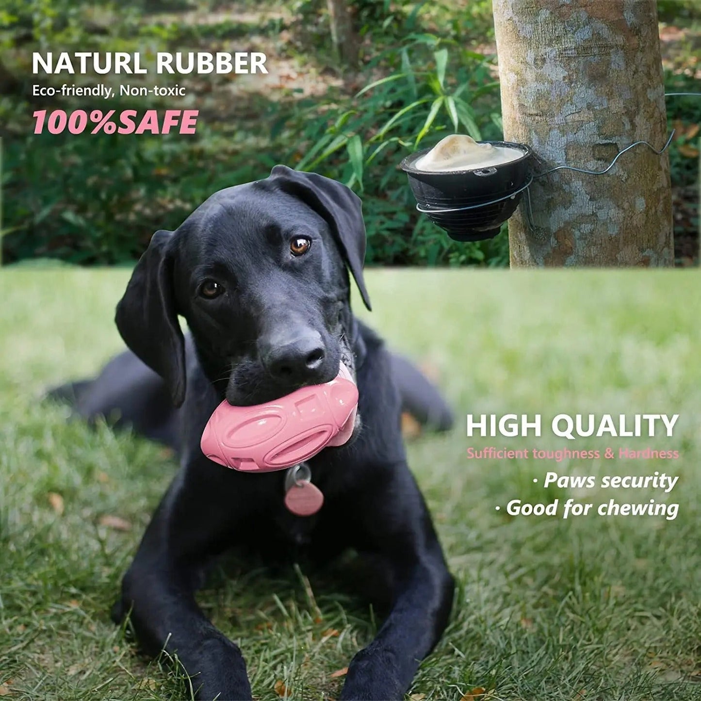 Durable Chew Toys for Tough Dogs