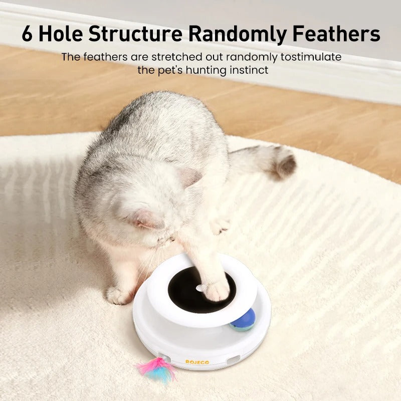 Fun Interactive 2-in-1 Cat Toy