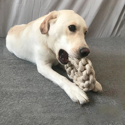 Durable Pet Knot Chew Toy - Befez