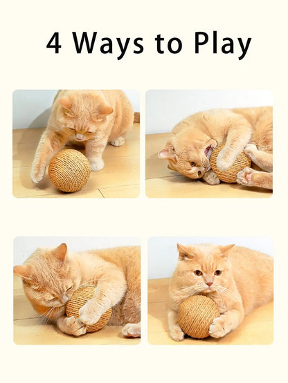 Fun Cat Scratcher Toy Ball