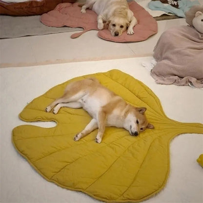 Comfortable Pet Food Mat