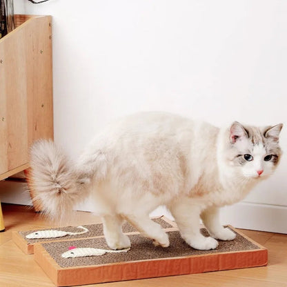 Cat Litter Box Scoop Shovel Tool
