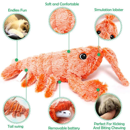 Fun Lobster Cat Teaser Toy