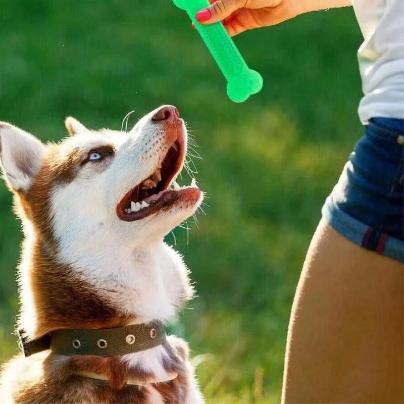 Durable Chew Toy for Tough Dogs