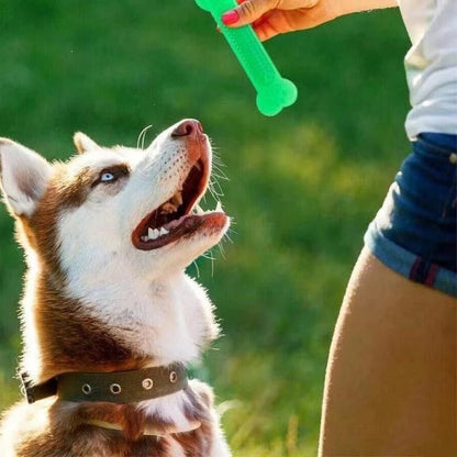 Durable Chew Toy for Tough Dogs
