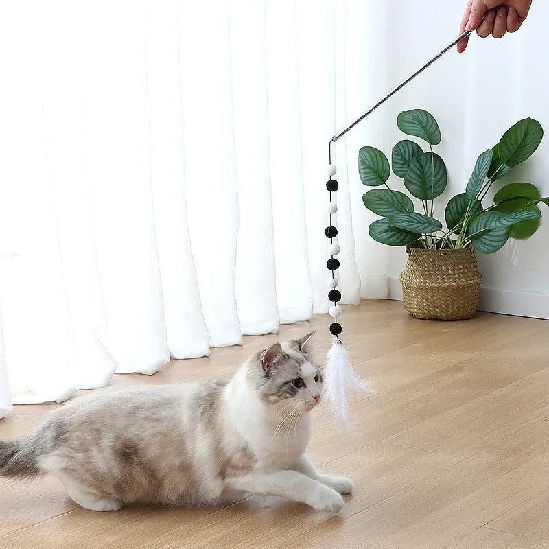 Colorful Cat Teaser Fun Toy