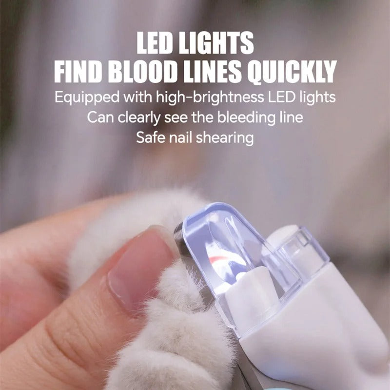 Professional Pet Grooming Kit