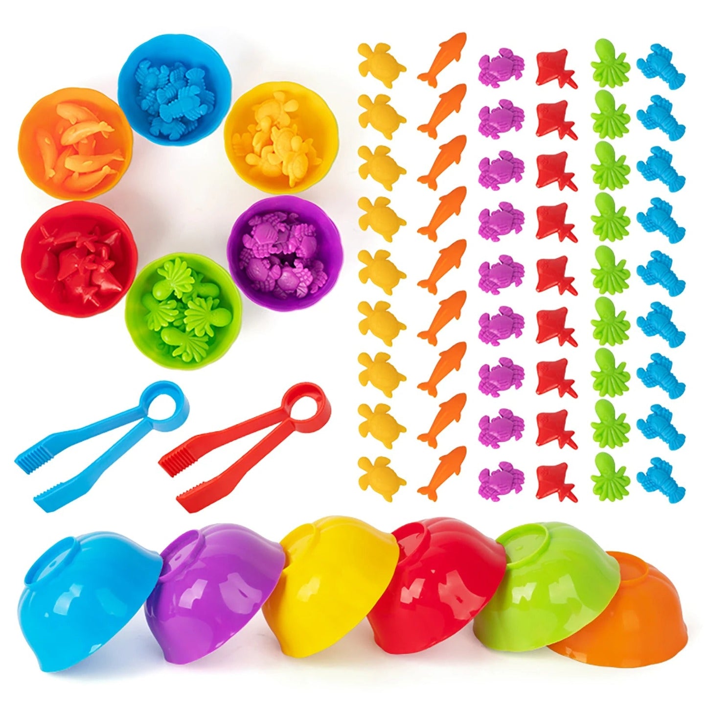 Fun Animal Matching Learning Set