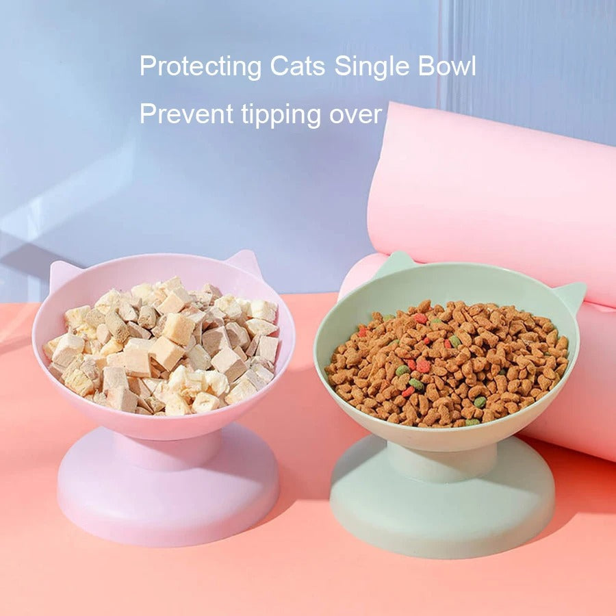 Double Cat Food Bowl Set