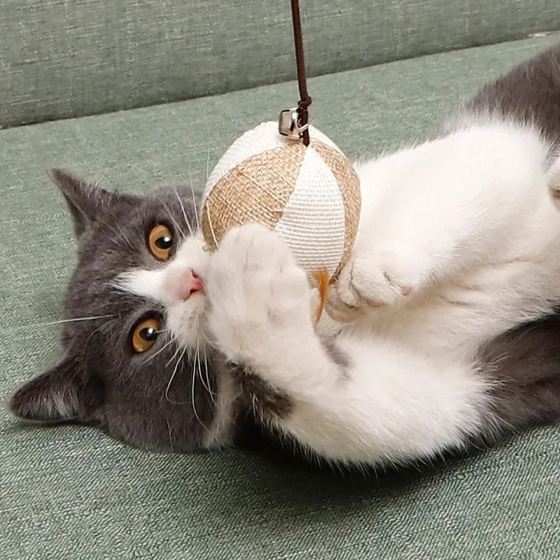Fun Feather Teaser Cat Toy with Wood Grip