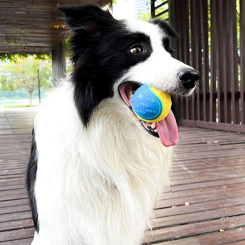 Fun Rubber Puppy Chew Toy - Befez