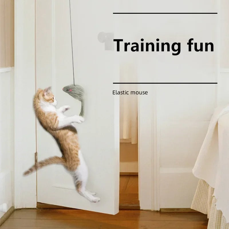 Easy Hang Interactive Cat Toy Wand