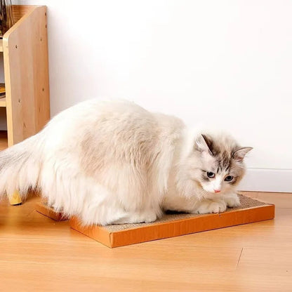 Cat Litter Box Scoop Shovel Tool