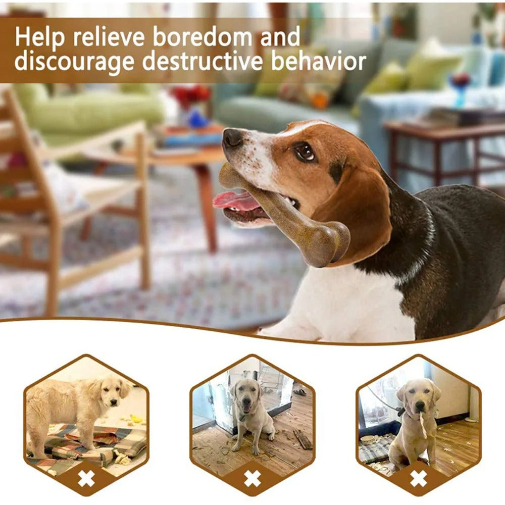 Durable Rubber Dog Chew Toy