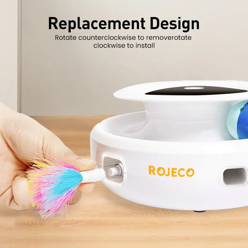 Fun Interactive 2-in-1 Cat Toy