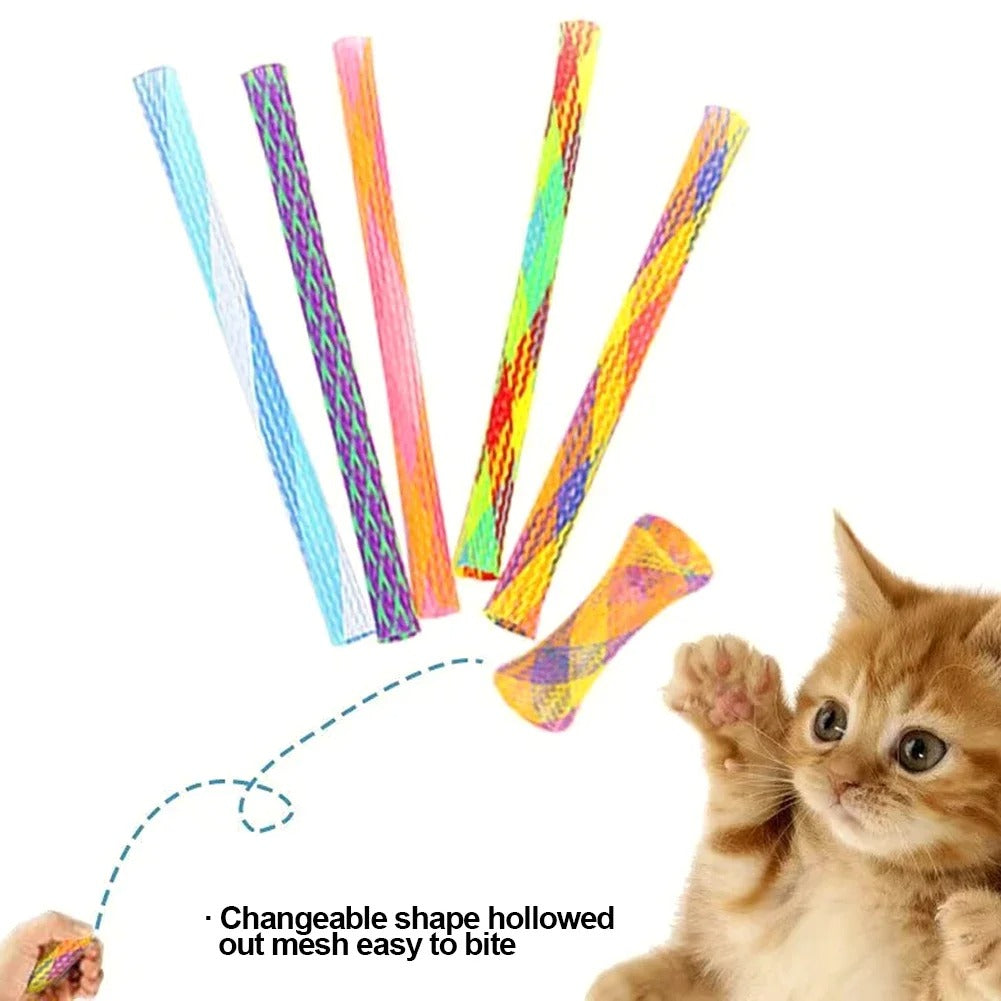 Colorful Fun Bouncing Kitten Cat Toys