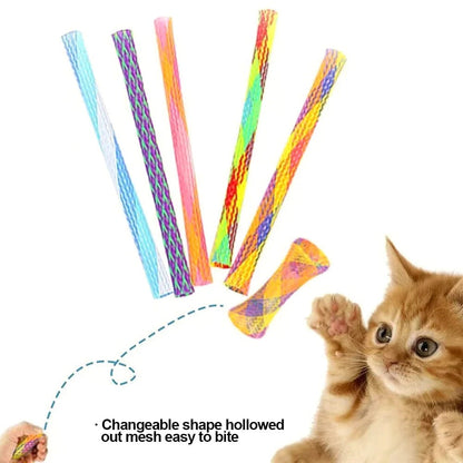 Colorful Fun Bouncing Kitten Cat Toys