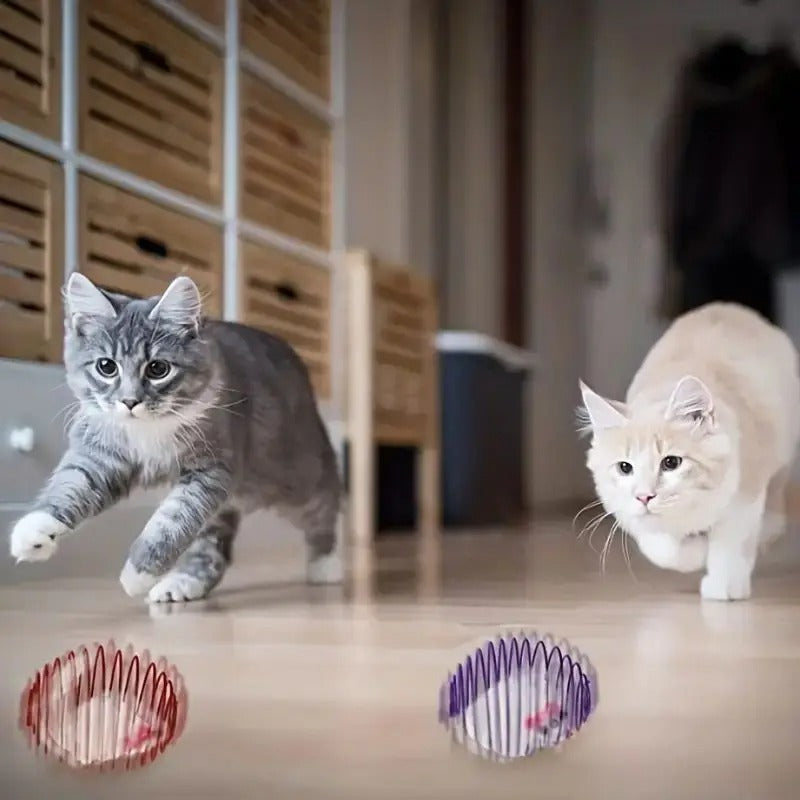 Fun Cat Toy Balls with Fuzzy Mice Inside - Befez