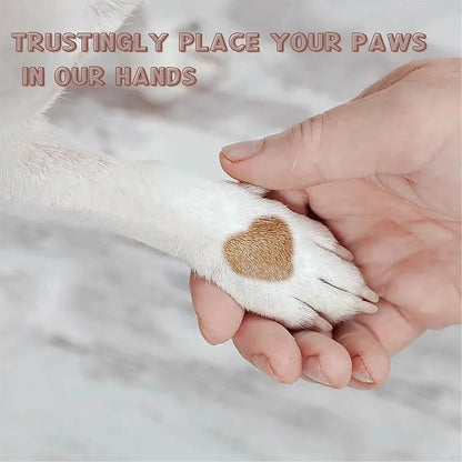 Pet Grooming Scratch Brush Tool