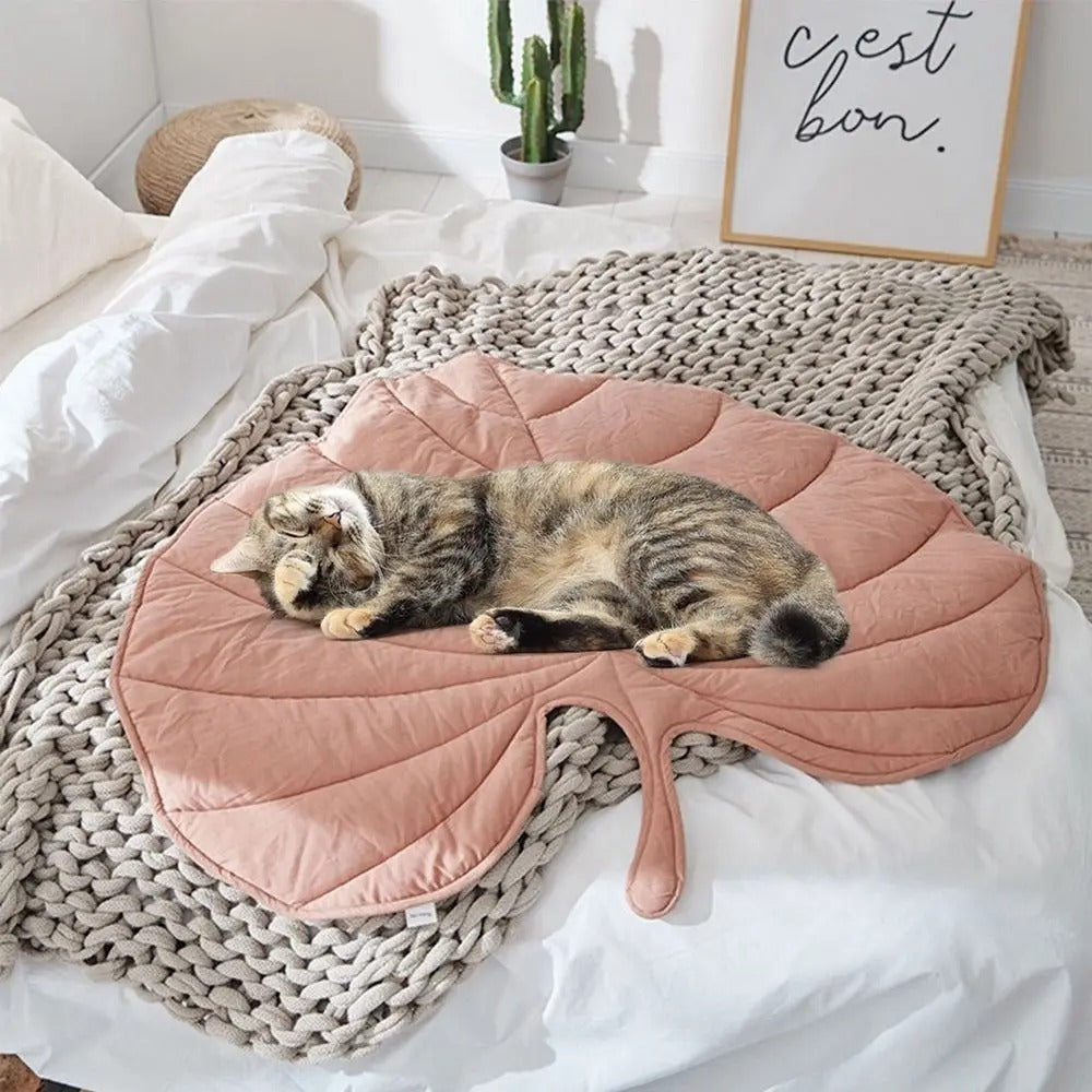 Comfortable Pet Food Mat