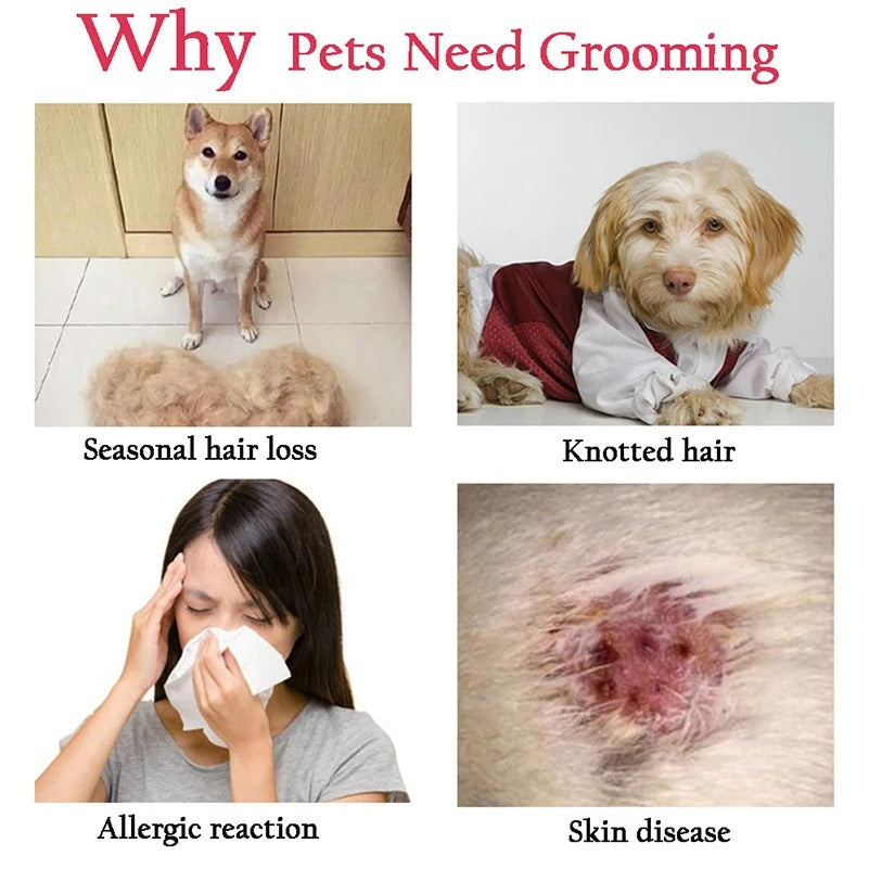 Effective Pet Shedding Grooming Brush Tool