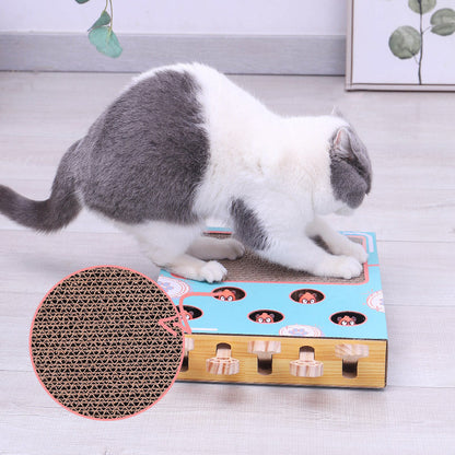 Fun Interactive Cat Toy Box Set