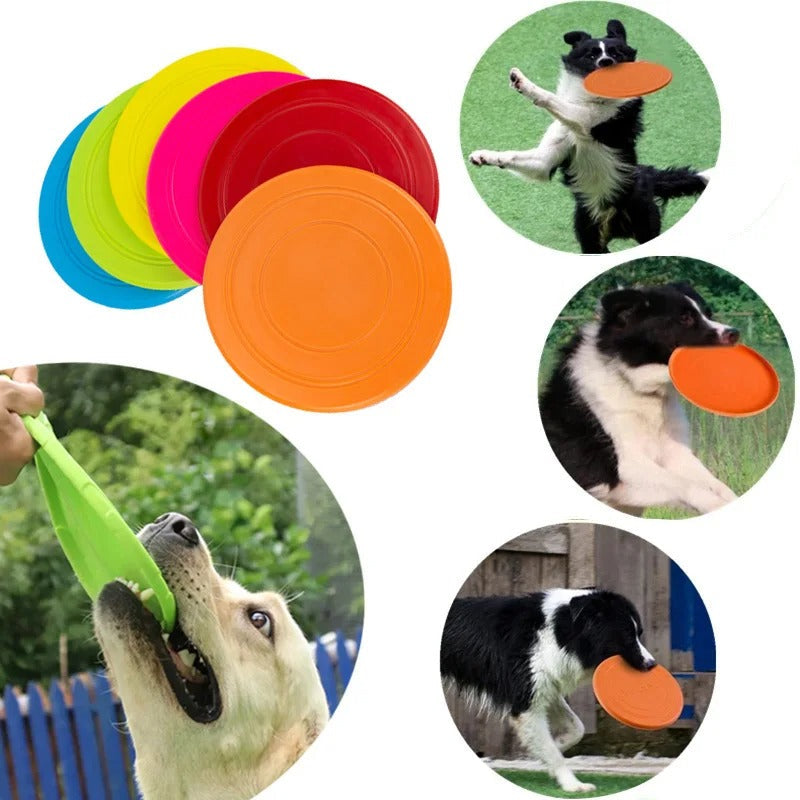 Fun Rubber Dog Flying Disk