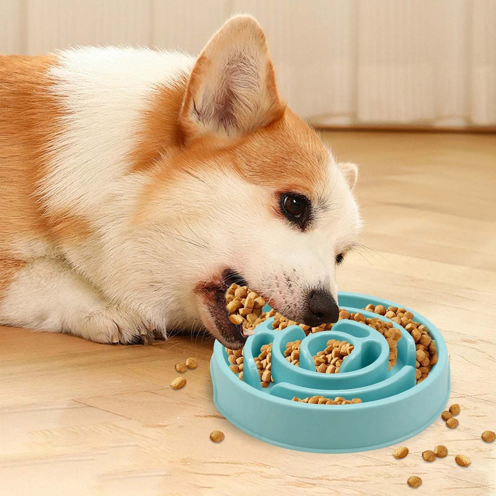 Easy Eat Slow Feeder Pet Bowl - Befez