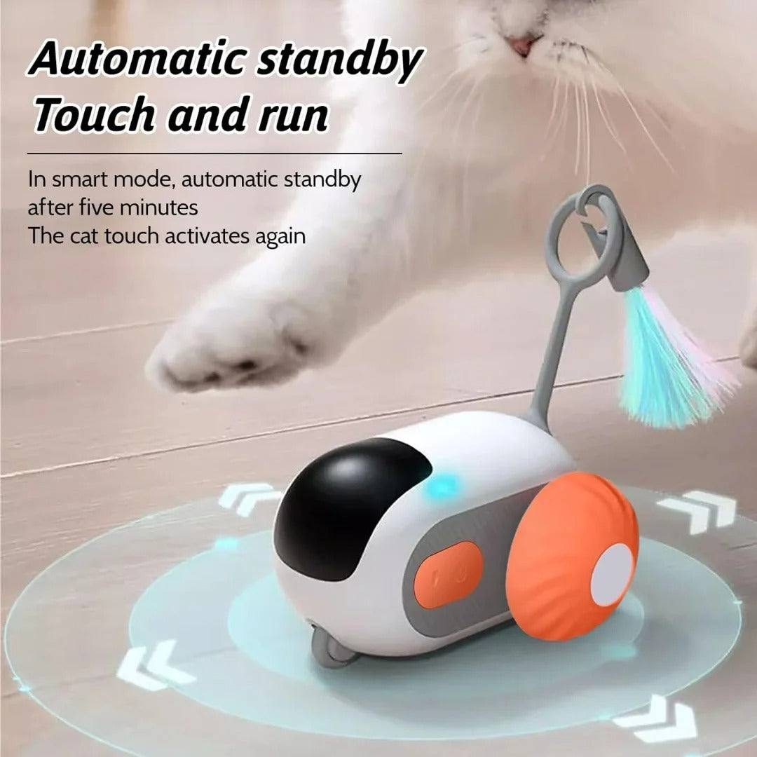 Interactive Fun Cat Laser Toy