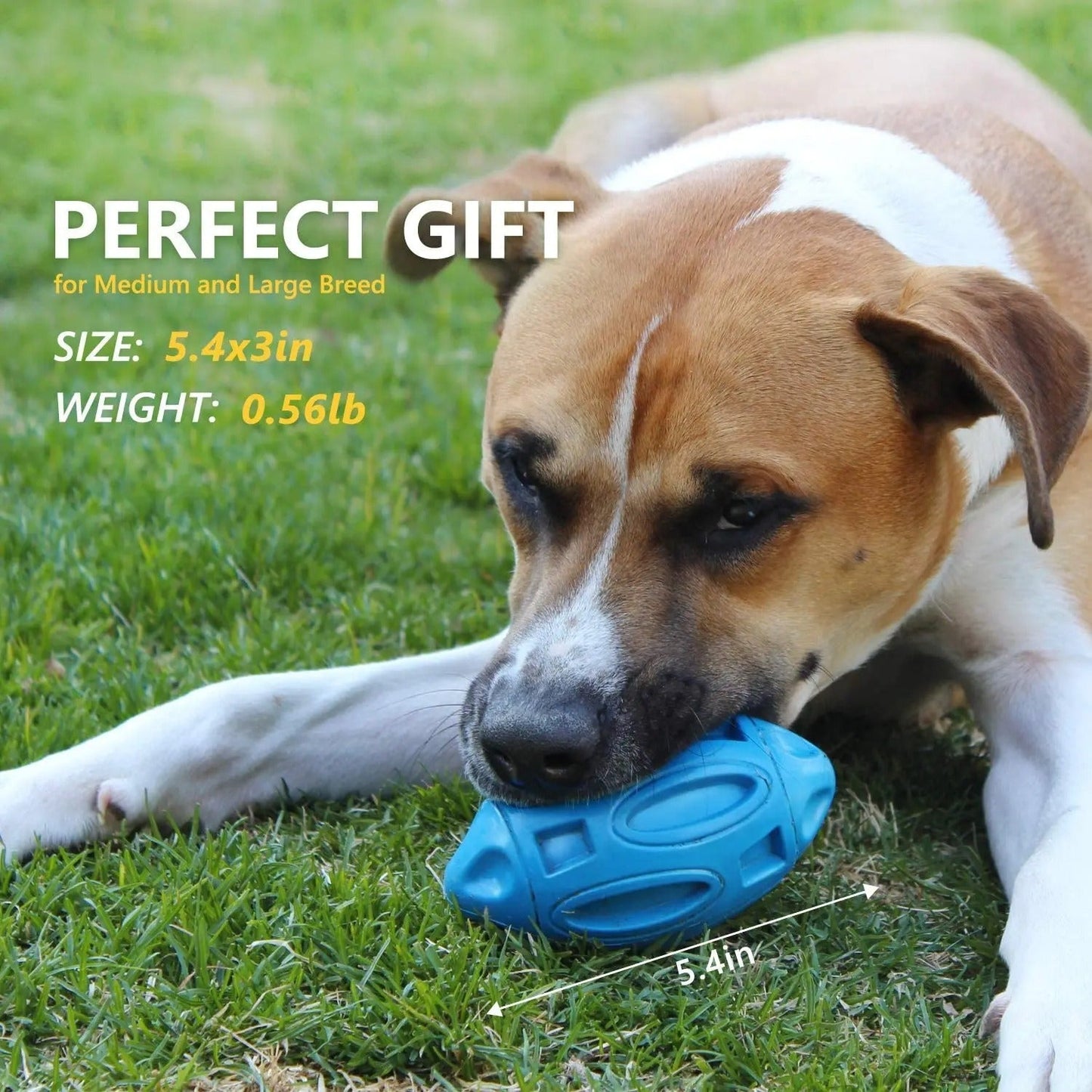 Durable Chew Toys for Tough Dogs