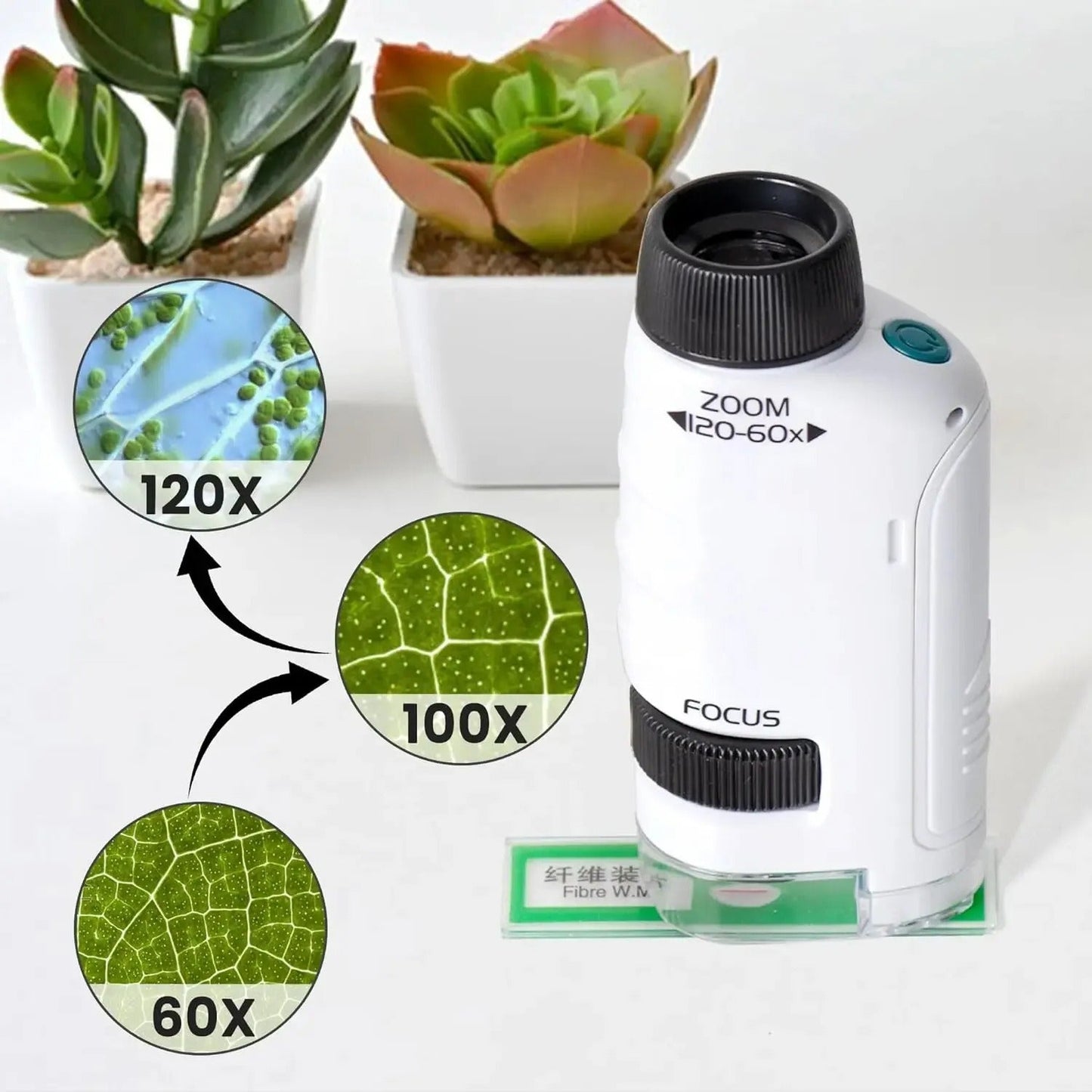 Fun Kids Pocket Microscope