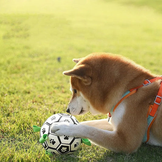 Durable Dog Ball Toy with Rope Handles - Befez