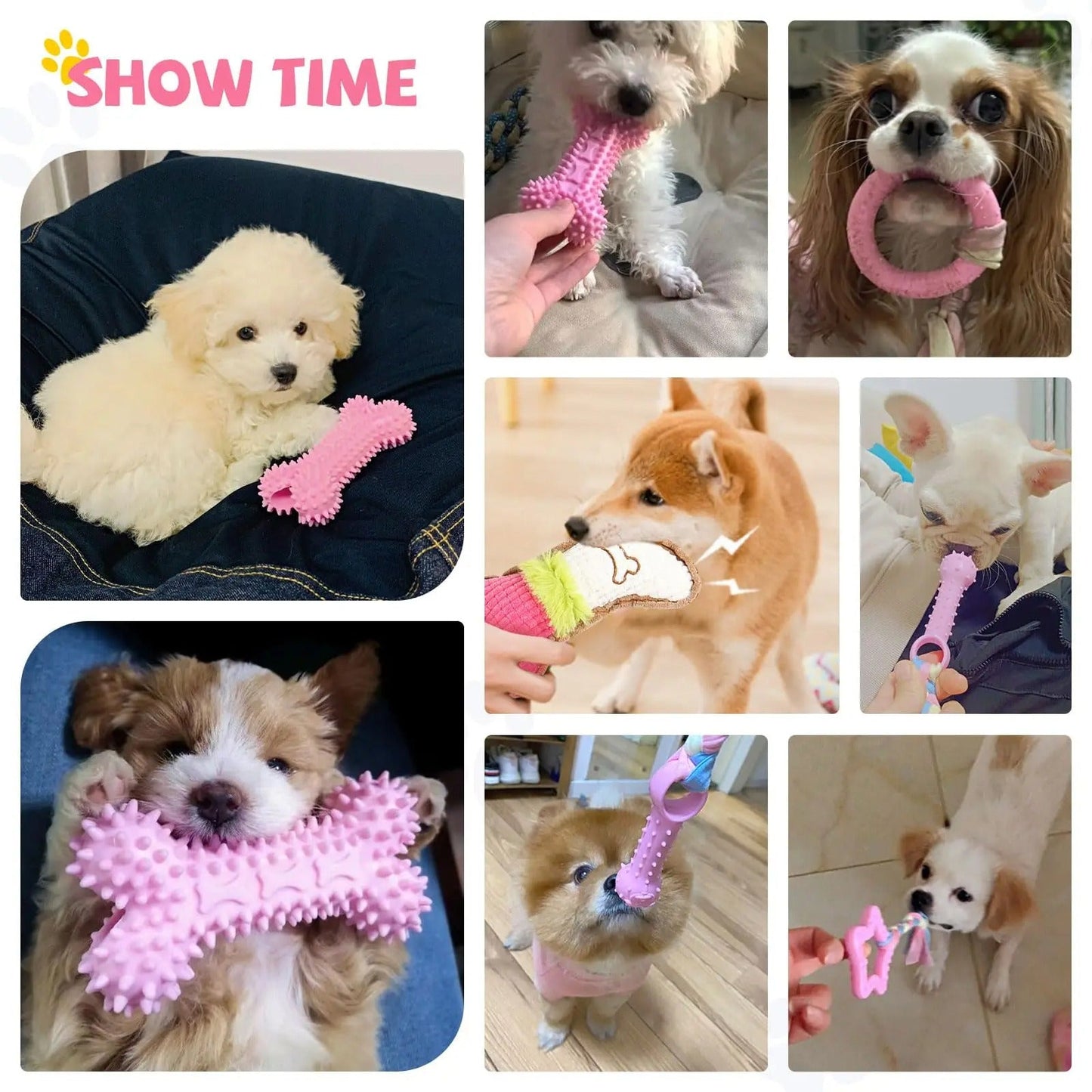Cute Dog Chew Toys 6 Piece Set