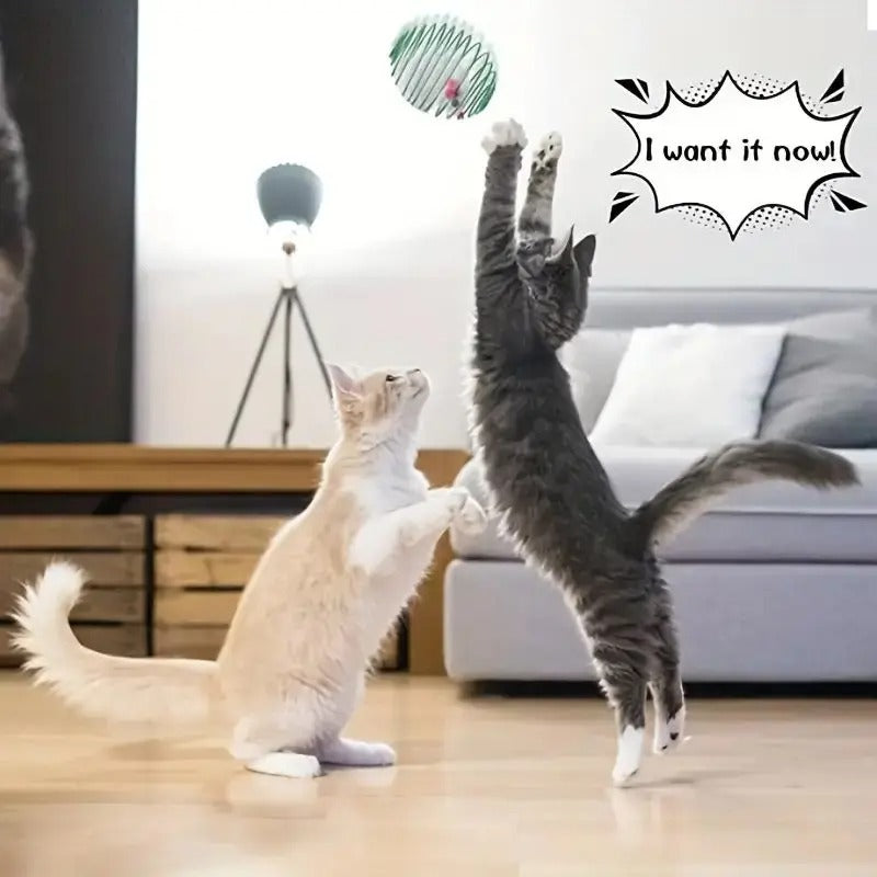 Fun Cat Toy Balls with Fuzzy Mice Inside