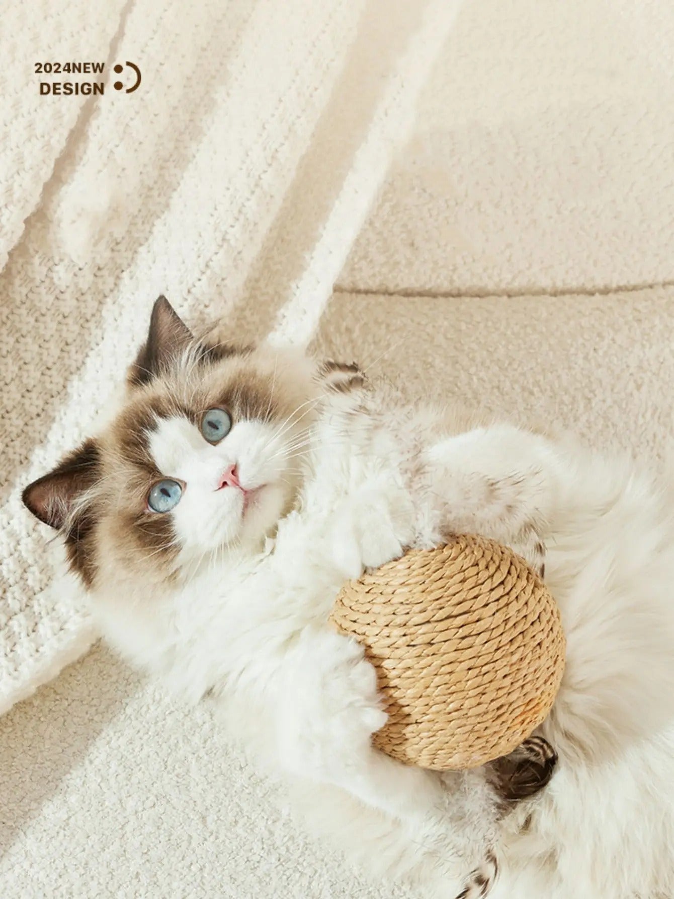 Fun Cat Scratcher Toy Ball