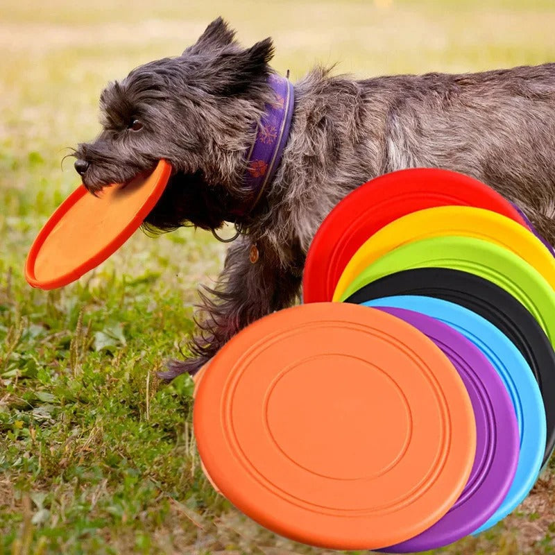 Fun Rubber Dog Flying Disk