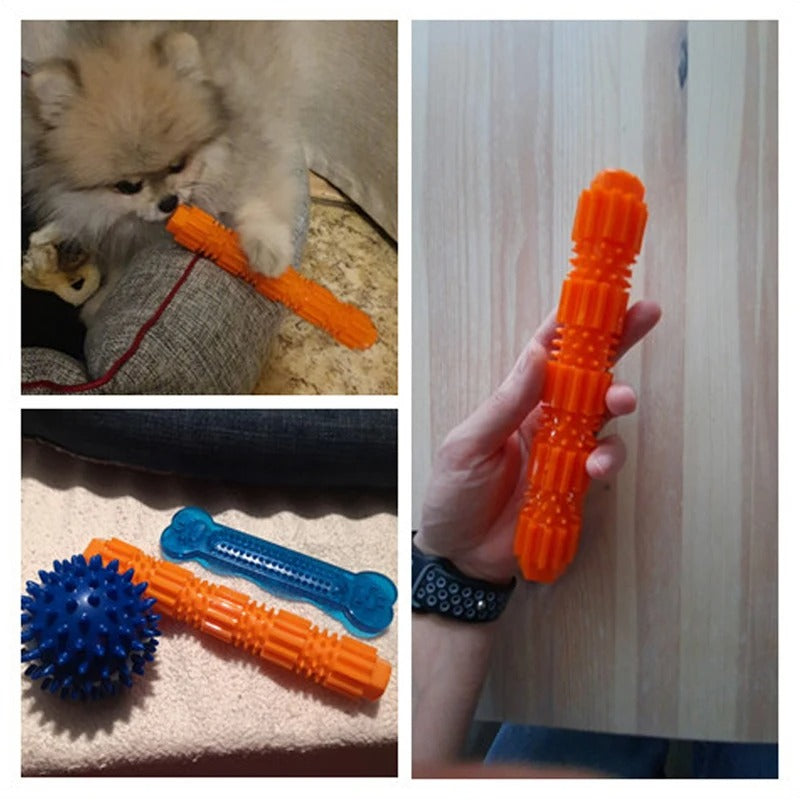 Fun Rubber Pet Chew Toys