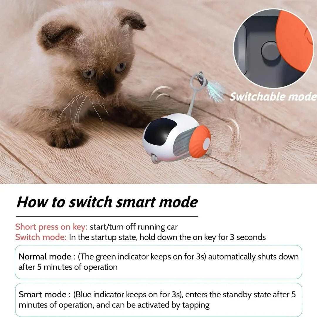 Interactive Fun Cat Laser Toy