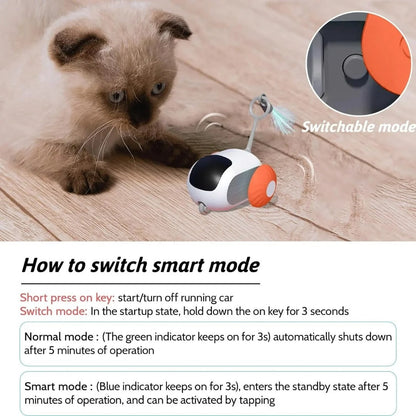 Interactive Fun Cat Laser Toy