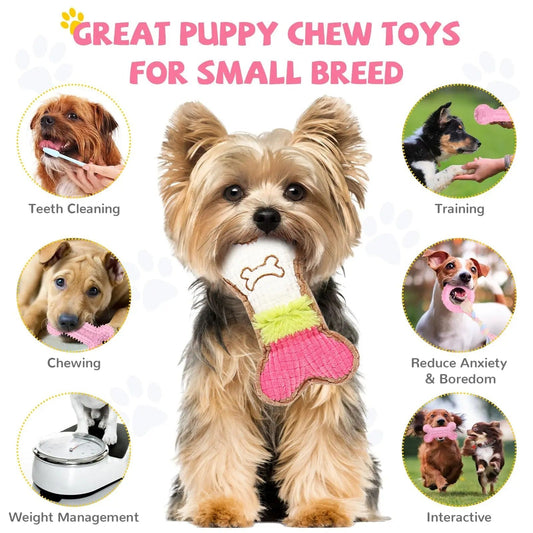 Cute Dog Chew Toys 6 Piece Set - Befez