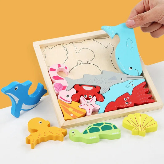Challenging Wooden Shape Sorting Puzzle - Befez
