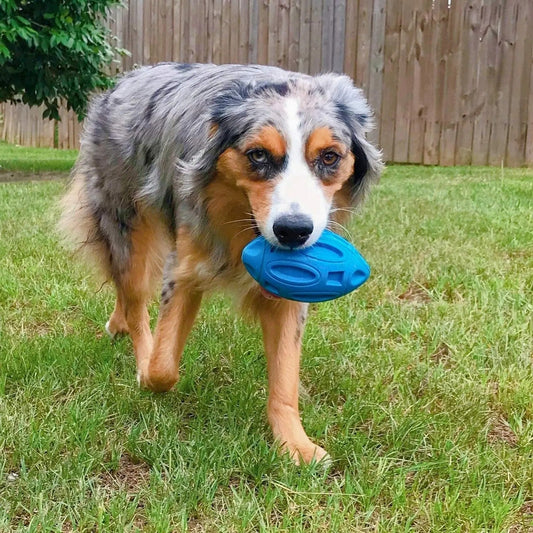 Durable Chew Toys for Tough Dogs - Befez