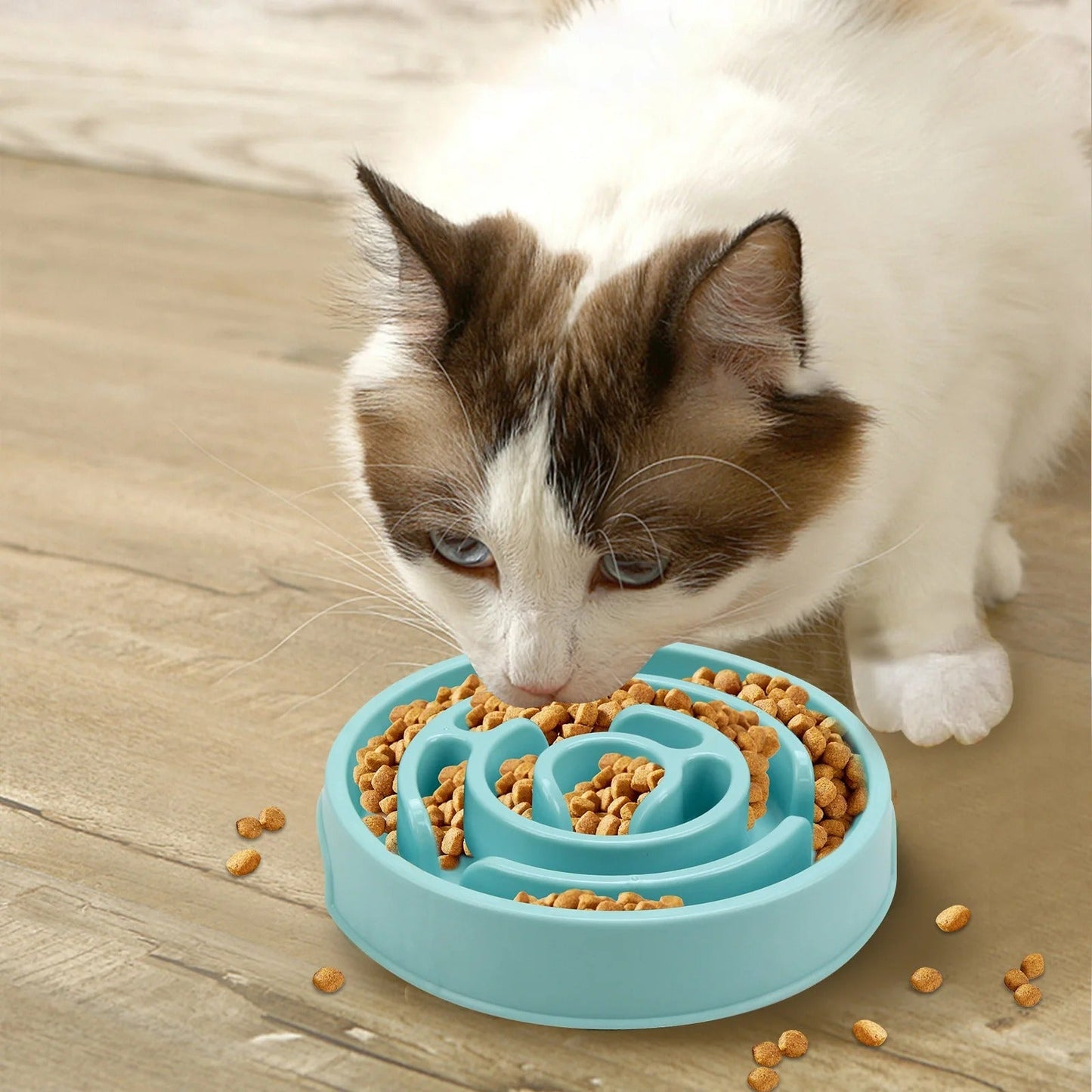 Easy Eat Slow Feeder Pet Bowl
