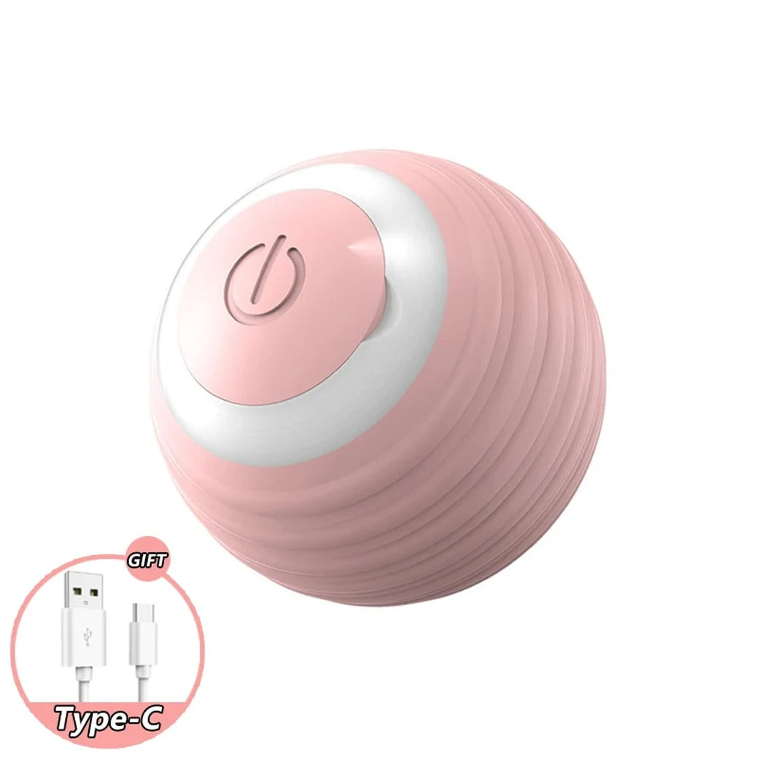 Fun Interactive Cat Rolling Toy
