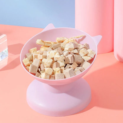 Double Cat Food Bowl Set