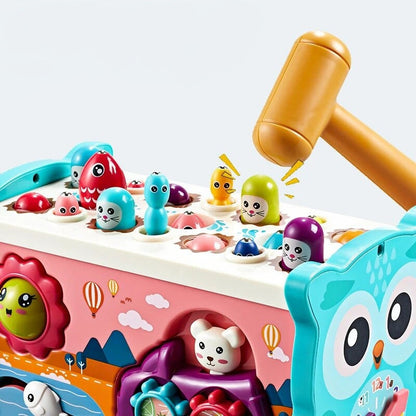 Fun Interactive Owl Toy Set