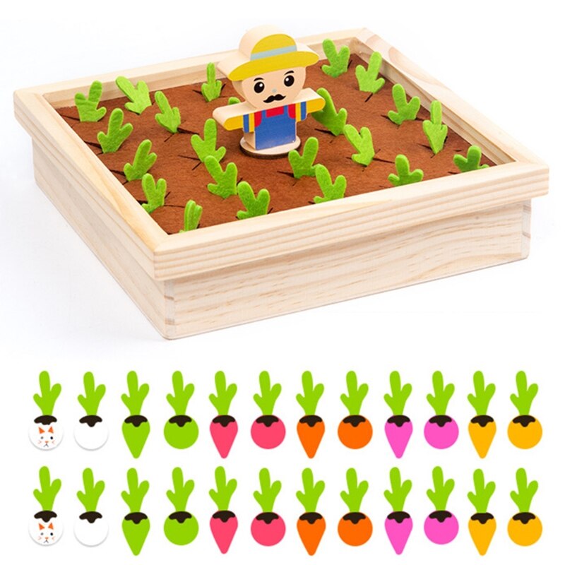Fun Creative Building Blocks Set
